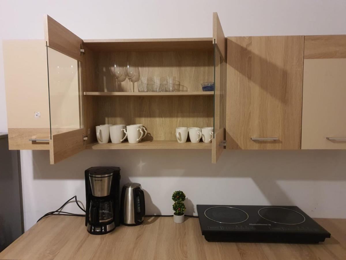 Apartament Enescu Тімішоара Екстер'єр фото