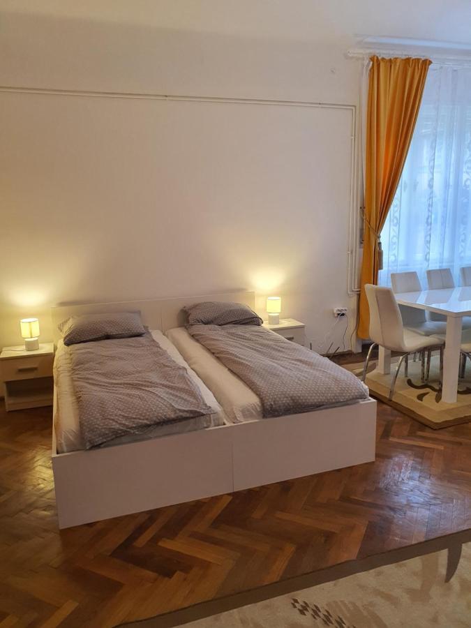 Apartament Enescu Тімішоара Екстер'єр фото