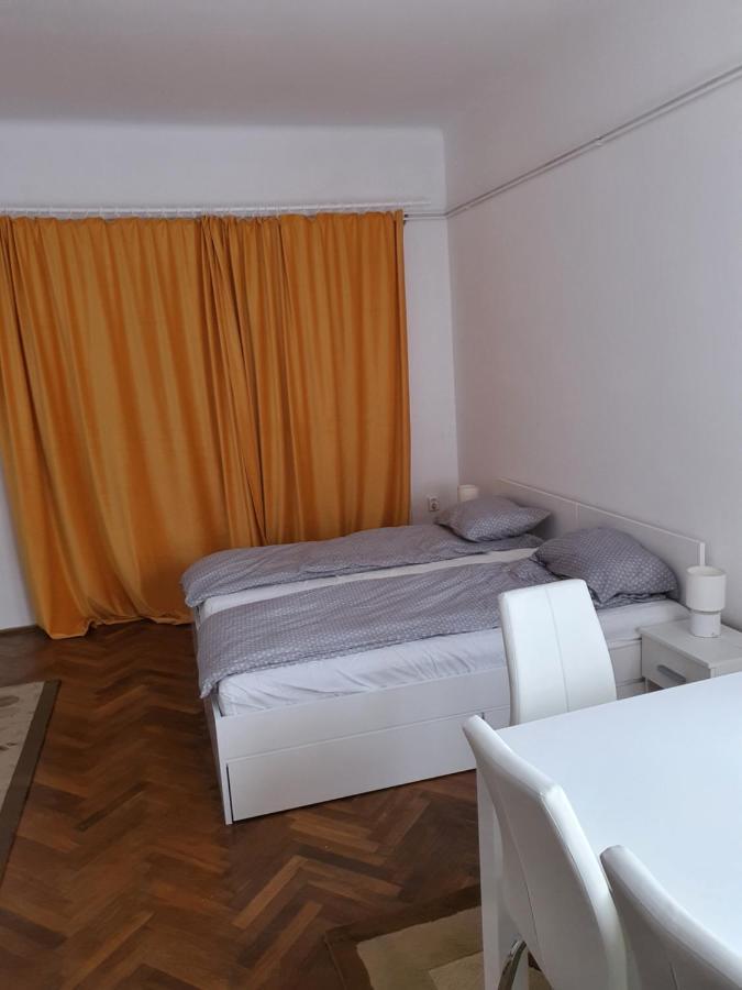 Apartament Enescu Тімішоара Екстер'єр фото